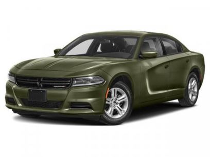 Used 2023 Dodge Charger SXT w/ Blacktop Special Edition
