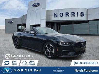 Used 2025 Ford Mustang Premium