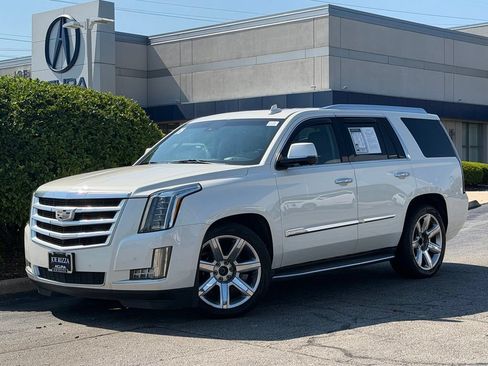 Used 2015 Cadillac Escalade Luxury AWD/4WD image 1