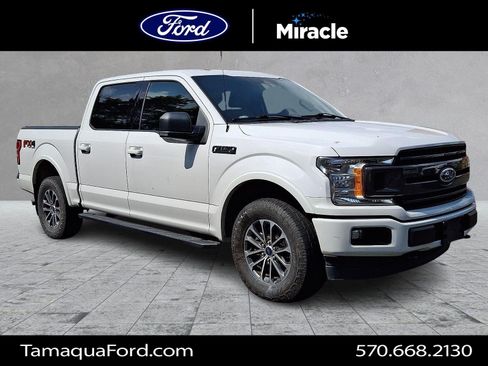 Used 2019 Ford F150 XLT w/ Equipment Group 302A Luxury AWD/4WD image 1