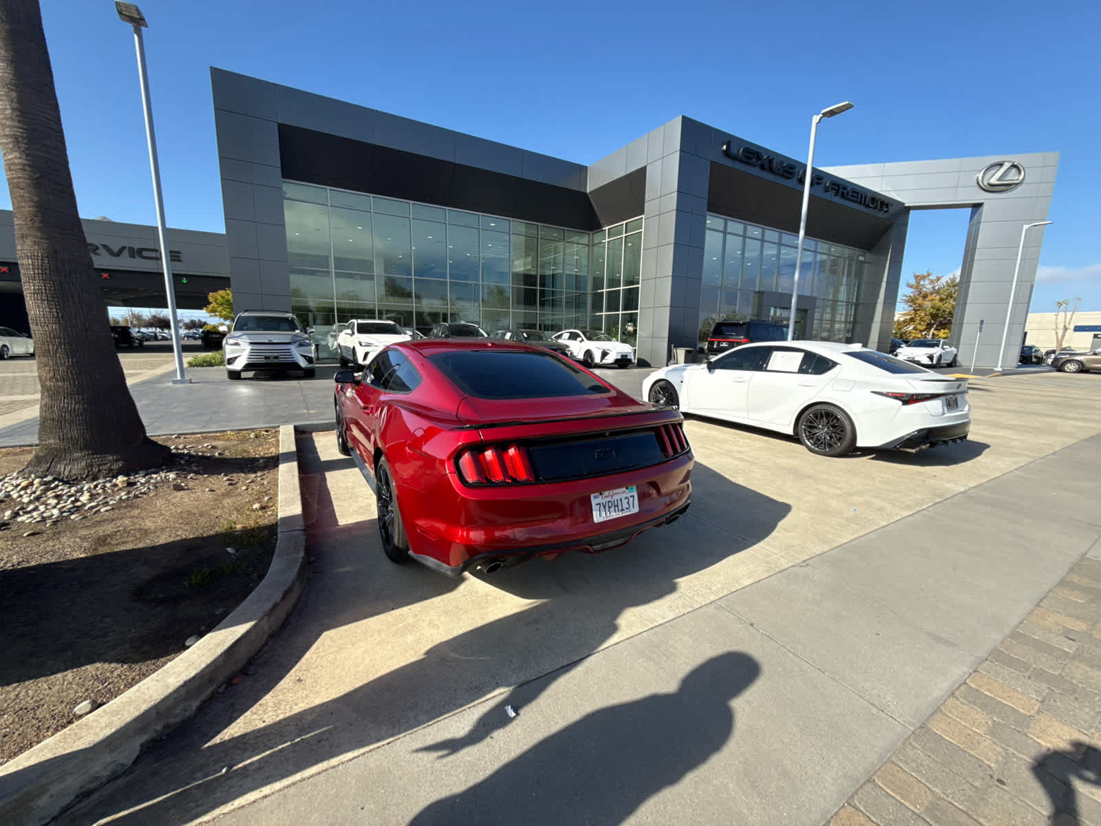 Used 2017 Ford Mustang GT Premium w/ Black Accent Package RWD image 2