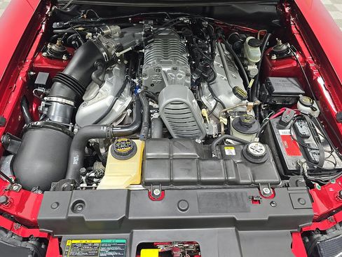Used 2003 Ford Mustang Cobra RWD image 5