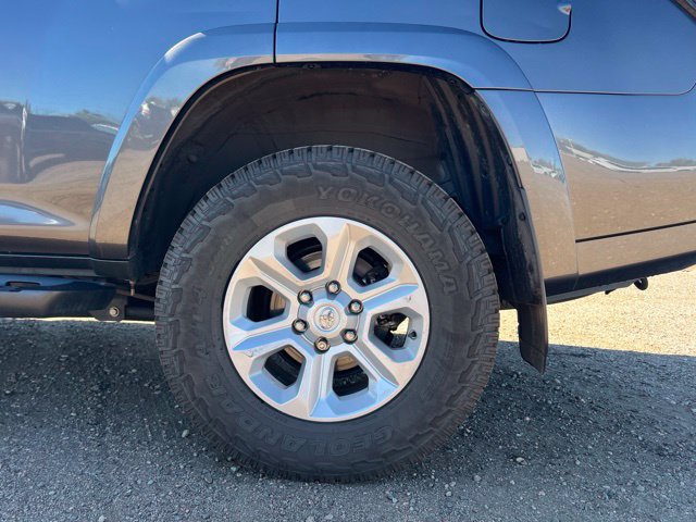 Used 2022 Toyota 4Runner SR5 Premium AWD/4WD image 14