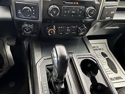 Used 2020 Ford F150 XLT w/ Equipment Group 302A Luxury AWD/4WD image 31