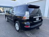 Used 2019 Lexus GX 460 image 3