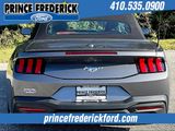 Used 2024 Ford Mustang Premium image 4