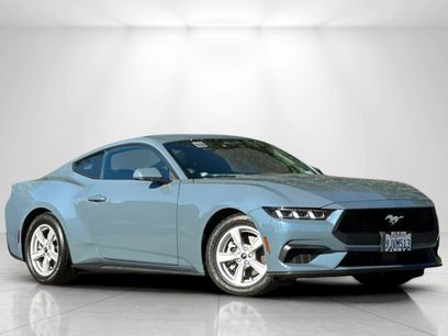 Used 2024 Ford Mustang Coupe