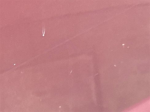 Used 2004 Ford F250 XL image 38