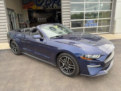 Used 2018 Ford Mustang Premium w/ Equipment Group 201A RWD image 4