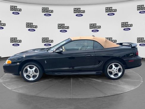 Used 1996 Ford Mustang Cobra RWD image 2