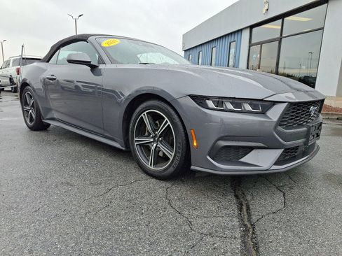 Certified 2024 Ford Mustang Premium image 29