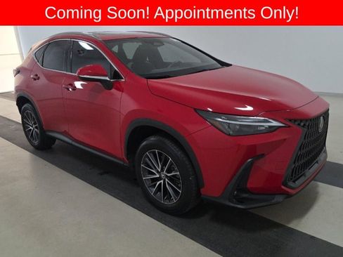 Used 2024 Lexus NX 250 FWD w/ Cold Area Package image 1