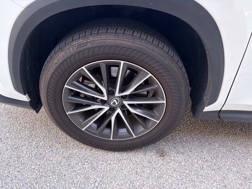 Certified 2024 Lexus NX 250 FWD w/ Cold Area Package image 12