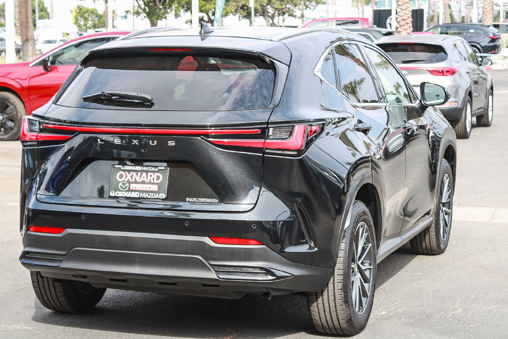 Used 2024 Lexus NX 350h AWD image 4