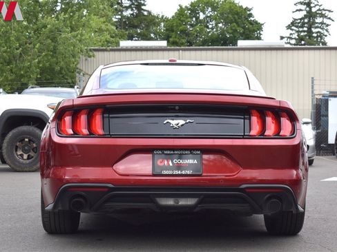 Used 2019 Ford Mustang Coupe w/ Equipment Group 101A image 4