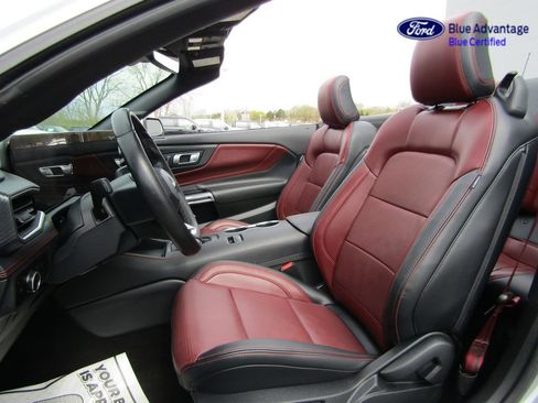 Certified 2025 Ford Mustang GT Premium RWD image 3