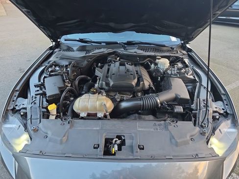 Used 2019 Ford Mustang Coupe image 28