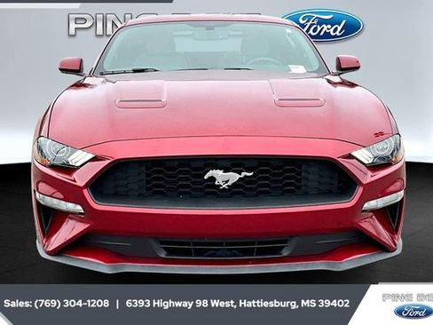 Used 2019 Ford Mustang Coupe w/ Equipment Group 101A image 3