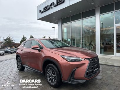 Certified 2025 Lexus NX 350h AWD w/ Cold Area Package