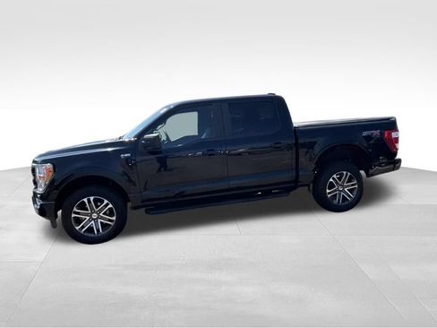 Used 2021 Ford F150 XL w/ STX Appearance Package AWD/4WD image 4