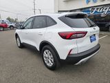 New 2025 Ford Escape Active w/ Cold Weather Package image 5