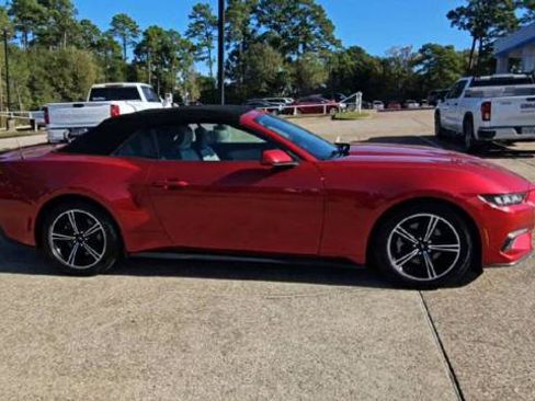 Used 2024 Ford Mustang Premium image 8