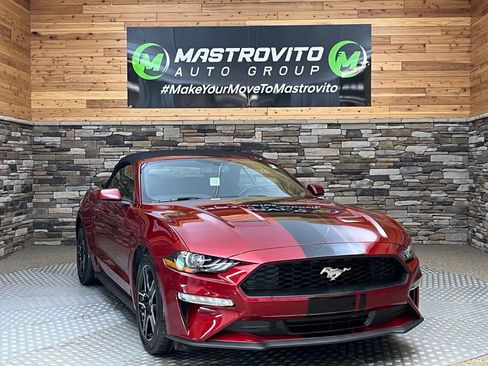 Used 2019 Ford Mustang Convertible w/ Equipment Group 101A RWD image 3