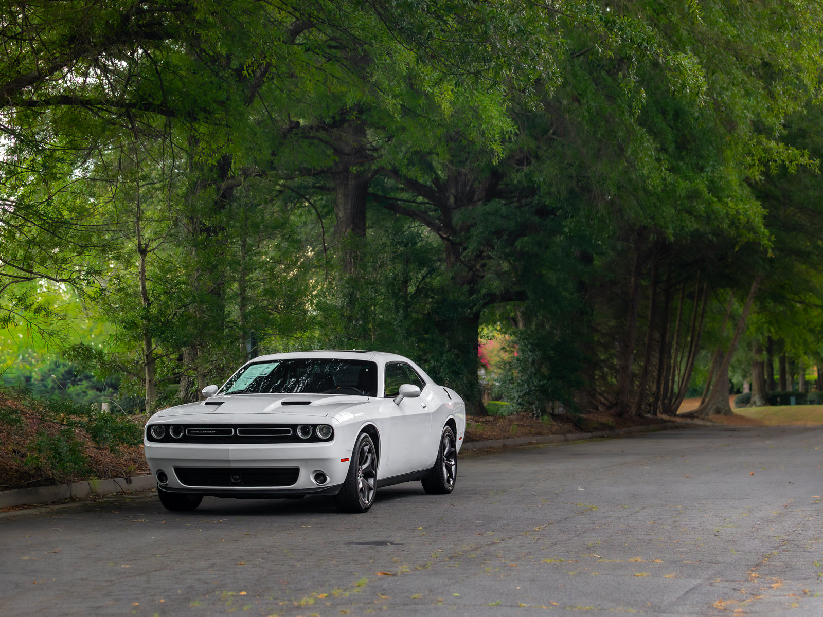 Used 2018 Dodge Challenger SXT Plus RWD image 36