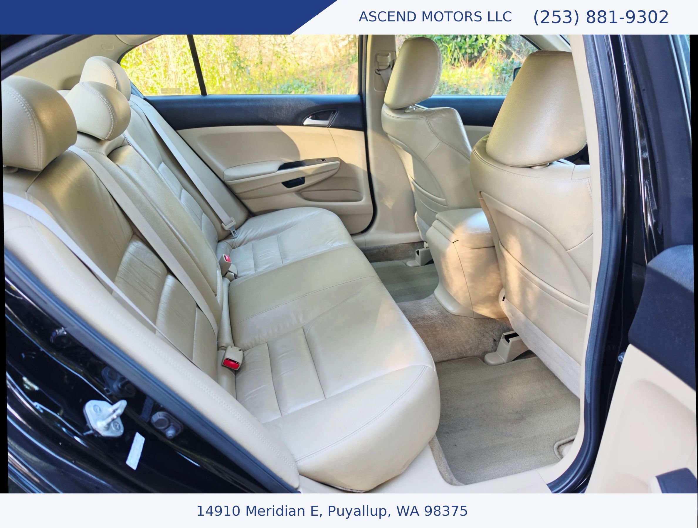 Used 2011 Honda Accord SE image 12