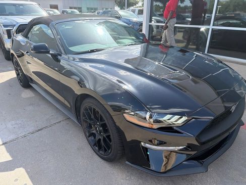 Used 2019 Ford Mustang Premium w/ Ecoboost Performance Package RWD image 4