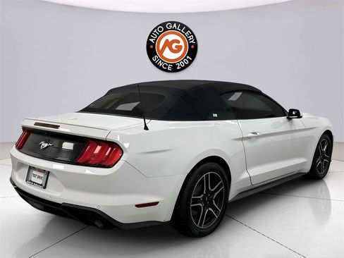 Used 2019 Ford Mustang Premium image 12