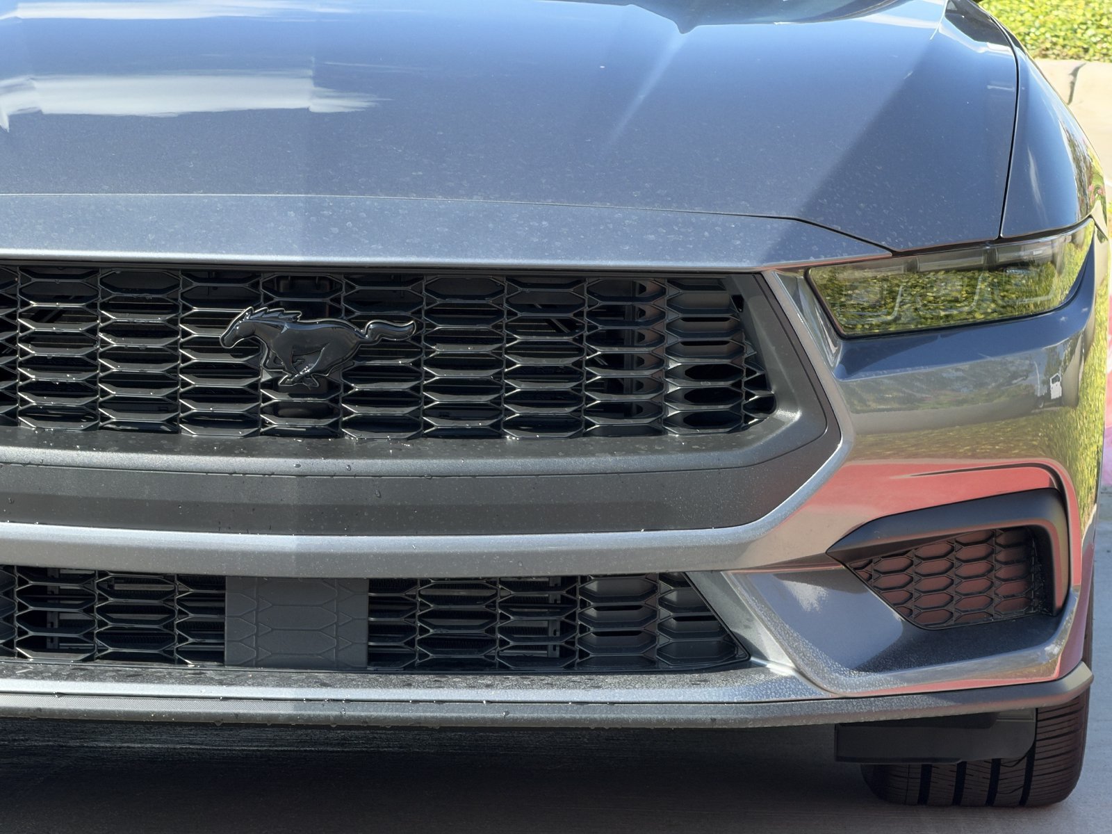 New 2026 Ford Mustang Coupe w/ Mustang Nite Pony Package RWD image 8