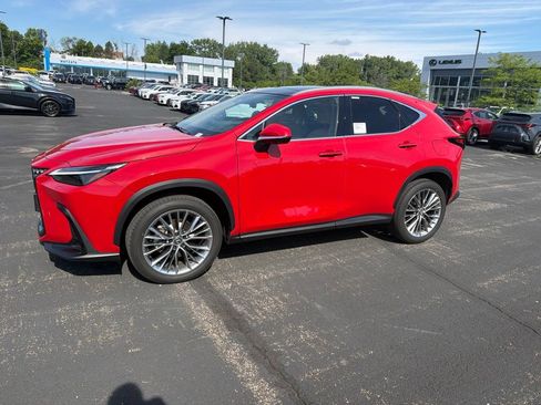 Used 2025 Lexus NX 350h AWD w/ Luxury Package image 1