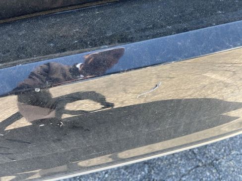 Used 2019 Volkswagen Jetta S w/ Driver Assistance Package image 7