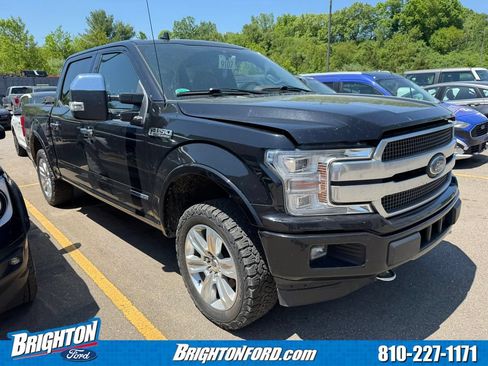 Used 2019 Ford F150 Platinum w/ Equipment Group 701A Luxury AWD/4WD image 1