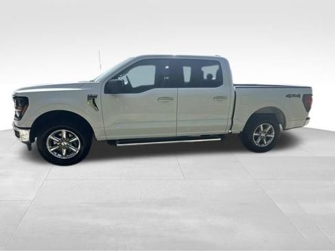 Used 2025 Ford F150 XLT w/ Equipment Group 301A Standard AWD/4WD image 3