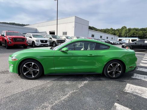 Used 2019 Ford Mustang Coupe RWD image 4
