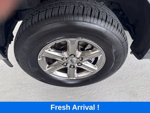 Used 2025 Ford F150 XLT w/ Equipment Group 301A Standard AWD/4WD image 20