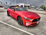 Used 2019 Ford Mustang Premium image 3