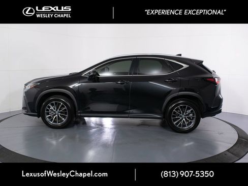 Certified 2025 Lexus NX 250 FWD w/ Towing Package (2000 Lbs) image 7