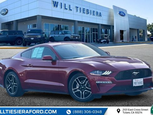 Certified 2022 Ford Mustang ECOBOOST w/ Equipment Group 101A image 1