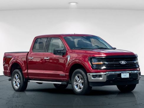 Used 2025 Ford F150 XLT w/ Equipment Group 301A Standard AWD/4WD image 5