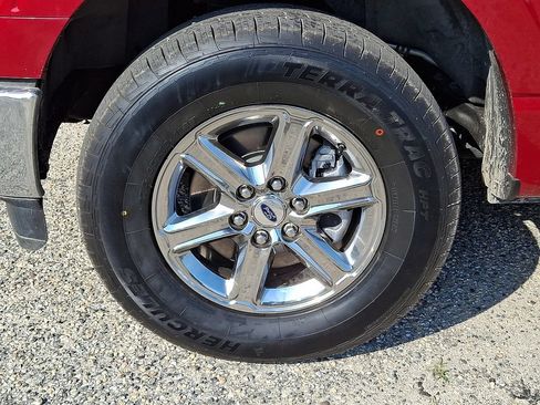 Used 2025 Ford F150 XLT w/ Equipment Group 302A MID AWD/4WD image 9