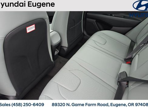 New 2025 Hyundai Elantra Limited image 14