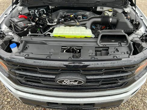 New 2026 Ford F150 XLT w/ Equipment Group 302A MID image 42