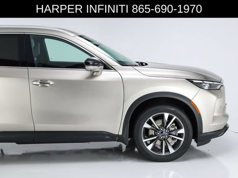 Used 2023 INFINITI QX60 Luxe w/ Vision Package AWD/4WD image 13
