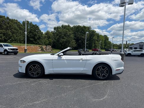 Used 2018 Ford Mustang Premium RWD image 4
