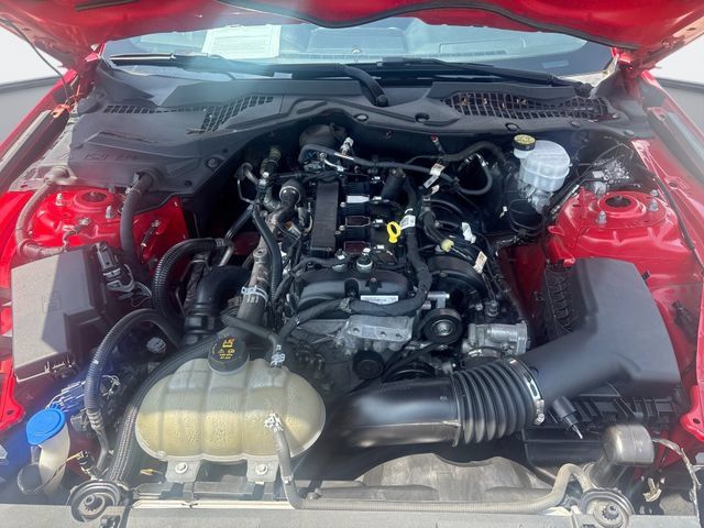 Used 2021 Ford Mustang Coupe w/ Equipment Group 101A RWD image 25
