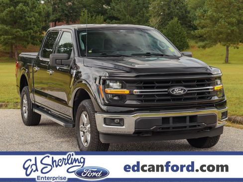 Used 2025 Ford F150 XLT w/ Equipment Group 301A Standard AWD/4WD image 1