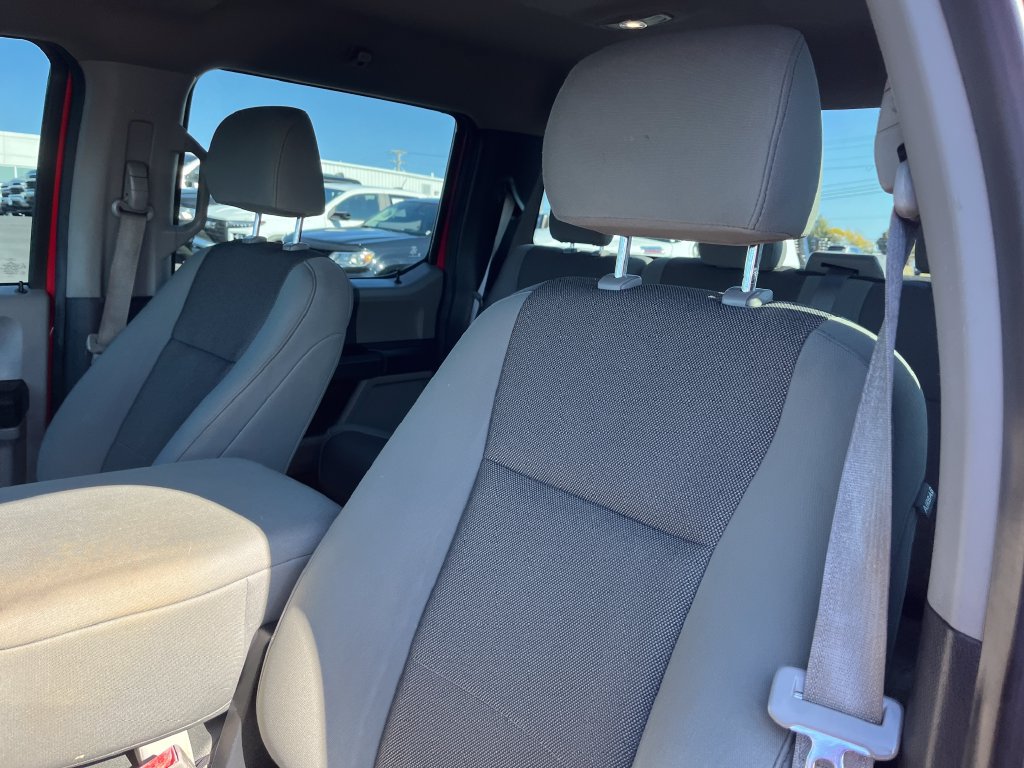 Used 2020 Ford F150 XL w/ Equipment Group 101A Mid AWD/4WD image 13